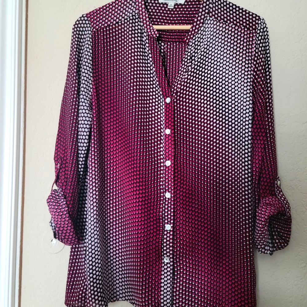 Sheer long-sleeved Blouse